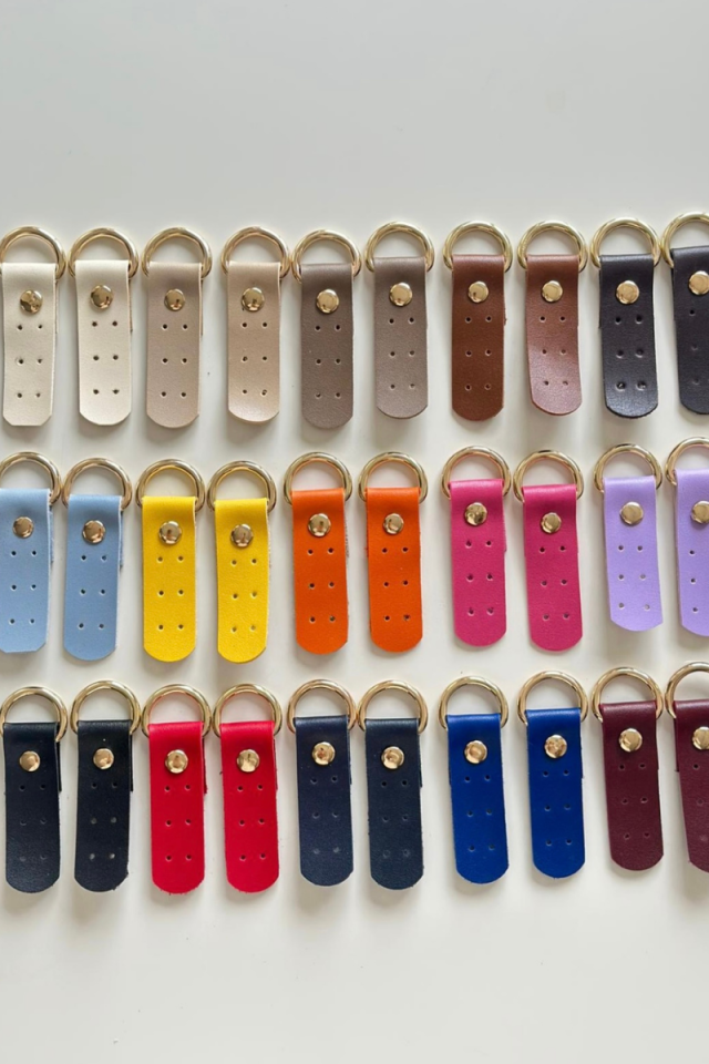 Dikmeli Çanta Böcüsü